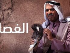 مسلسل الفصلة الحلقة 25 الخامسة والعشرون