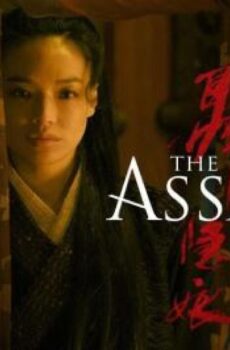 فيلم The Assassin 2015 مترجم