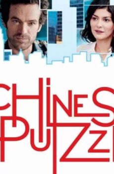 فيلم Chinese Puzzle 2013 مترجم