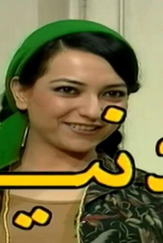 مسلسل دنيا الحلقة 10 العاشرة