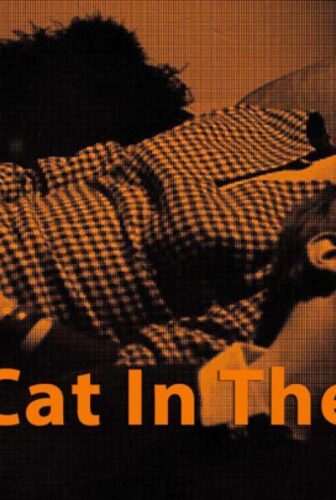 فيلم The Cat in the Bag 1964 مترجم