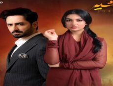 مسلسل شير زمان الحلقة 31 الحادية والثلاثون مترجمة