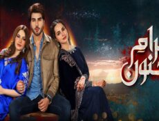 مسلسل عشق حد الجنون الحلقة 1 الاولى مترجمة
