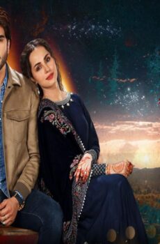 مسلسل عشق حد الجنون الحلقة 8 الثامنة مترجمة