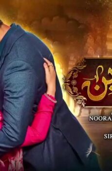 مسلسل حياتي بدونك الحلقة 43 الثالثة والاربعون مترجمة