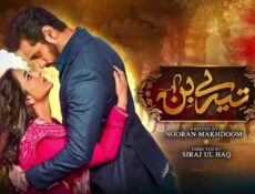 مسلسل حياتي بدونك الحلقة 42 الثانية والاربعون مترجمة