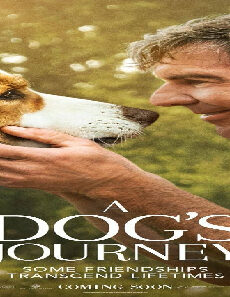 فيلم A Dogs Journey 2019 مترجم