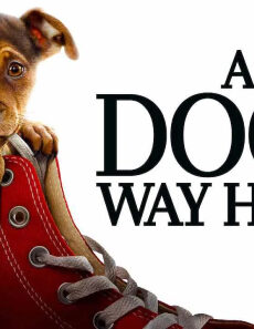 فيلم A Dogs Way Home 2019 مترجم