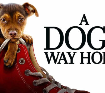 فيلم A Dogs Way Home 2019 مترجم