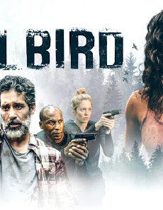 فيلم Killbird 2019 مترجم