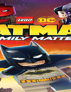 فيلم Lego DC Batman Family Matters 2019 مترجم