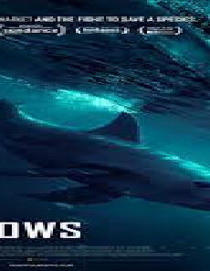 فيلم Sea Of Shadows 2019 مترجم