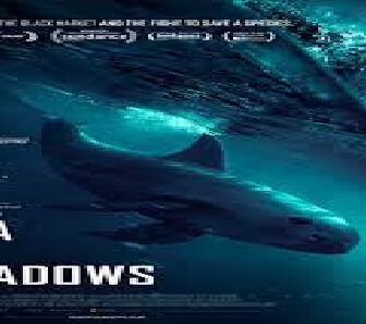 فيلم Sea Of Shadows 2019 مترجم