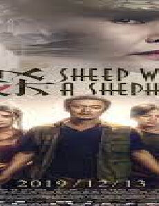 فيلم Sheep Without A Shepherd 2019 مترجم