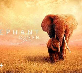 فيلم The Elephant Queen 2019 مترجم