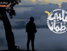 برنامج قلبي اطمأن الموسم 4 الحلقة 4 الرابعة