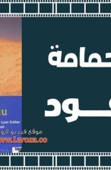فيلم طوق الحمامة المفقودة 1987