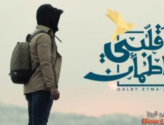 برنامج قلبي اطمأن الموسم 5 الحلقة 12 الثانية عشر