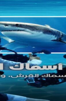 برنامج All the Sharks الحلقة 5 مترجمة