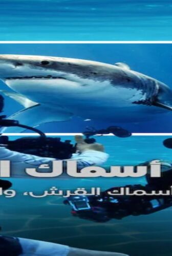 برنامج All the Sharks الحلقة 2 مترجمة