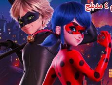 انمي الدعسوقة و القط الأسود الموسم 4 الحلقة 14 مدبلجة