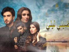 مسلسل اضيئي ليلي الحلقة 10 العاشرة مدبلجة