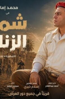 فيلم شمس الزناتي البداية 2026