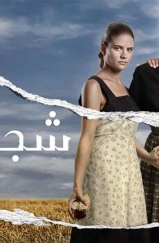 مسلسل شجر الحور الحلقة 126 مدبلجة قصة عشق