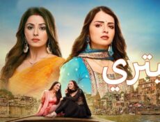 مسلسل ميتري الحلقة 173 مترجمة