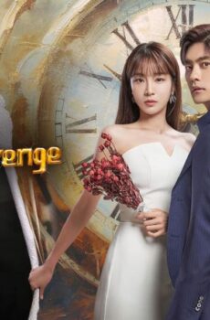 زواج الانتقام المثالي Perfect Marriage Revenge