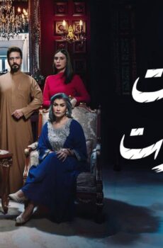 مسلسل بيت العنكبوت الحلقة 31 الحادية والثلاثون