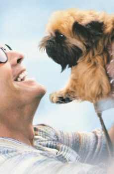 فيلم As Good as It Gets 1997 مترجم