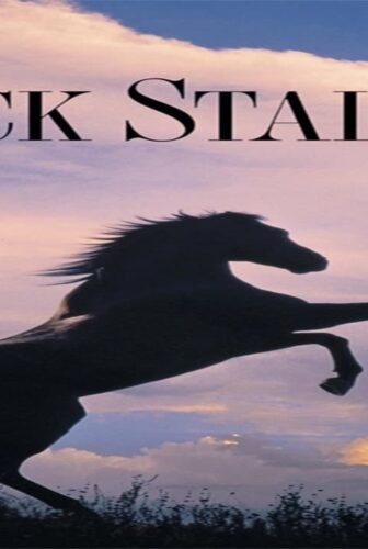 فيلم The Black Stallion 1979 مترجم