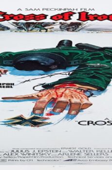 فيلم Cross of Iron 1977 مترجم