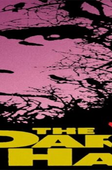 فيلم The Dark Half 1993 مترجم