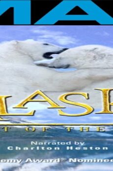 فيلم Alaska: Spirit of the Wild 1998 مترجم