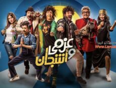 مسلسل عزمي و اشجان الحلقة 4 الرابعة