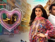 مسلسل حارة الحبايب الحلقة 21 الحادية والعشرون مدبلجة