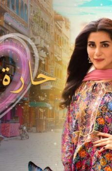 مسلسل حارة الحبايب الحلقة 22 الثانية والعشرون مدبلجة