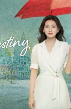 You Are My Destiny