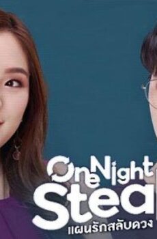 One Night Steal