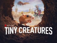 مسلسل Tiny Creatures الحلقة 6 السادسة مترجمة