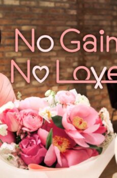 No Gain No Love