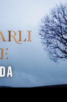 مسلسل تل الرياح الحلقة 157 مترجمة قصة عشق