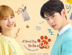 مسلسل يوم جيد لتصبحي كلبة A Good Day to Be a Dog الحلقة 10 العاشرة مترجمة