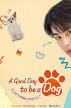 مسلسل يوم جيد لتصبحي كلبة A Good Day to Be a Dog الحلقة 11 الحادية عشر مترجمة