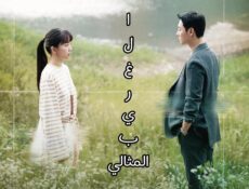 مسلسل الغريب المثالي My Perfect Stranger الحلقة 2 الثانية مترجمة