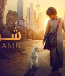 فيلم شهد 2024 كامل شاهد فوريو