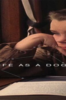فيلم My Life as a Dog 1985 مترجم