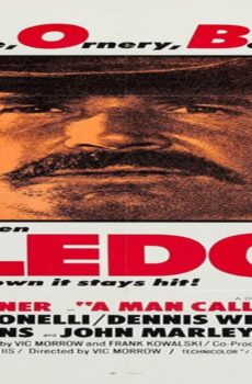 فيلم A Man Called Sledge 1970 مترجم